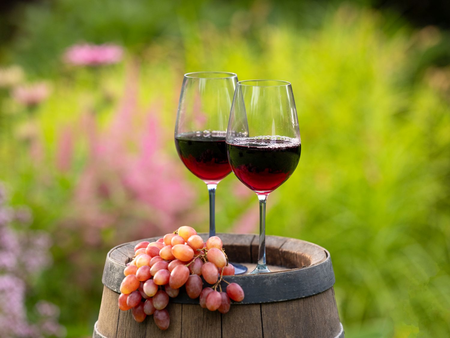 najlepsze-wino-na-lato